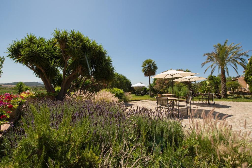 Agroturismo Can Feliu Porreres Εξωτερικό φωτογραφία